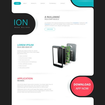 Ion
