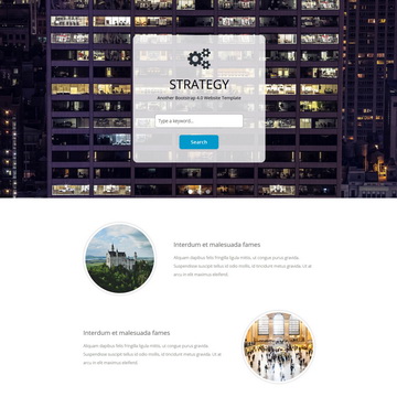 Strategy