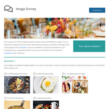 Image Survey