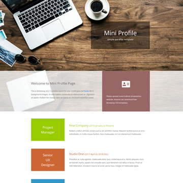 Mini Profile