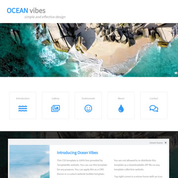 Ocean Vibes